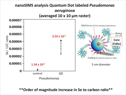 Quantum Dots and <span class="caps">SIMS</span>