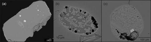 Electron Backscatter Image of Melt Inclusions