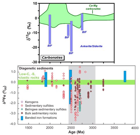 Carbon and Iron Isotope Variations