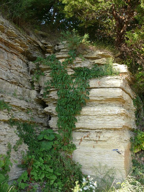 Ordovician Dolomite Outcrop in Wisconsin
