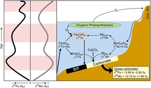 Model for Co-Variation of Fe and Mo Isotopes