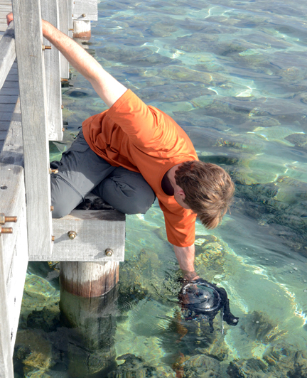 Figure 1: Shark Bay Virtual Field Trip