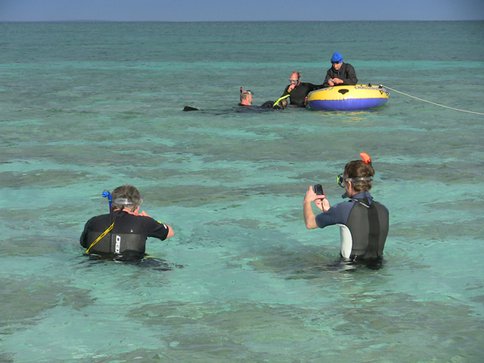 Figure 2: Shark Bay Virtual Field Trip