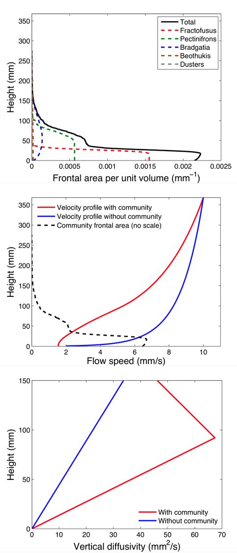 Fig 1 &#8211; Frontal Area, Velocity and Mixing in a Mistaken Point Rangeomorph Community