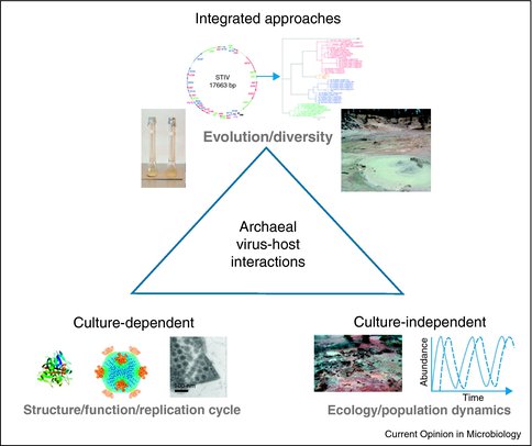 Initrgrated Approach to Understading Virus Ecology and Evolution