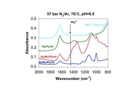 Analysis of Ammonia Formation on Mineral Surfaces by Infrared Spectroscopy