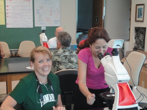 Alii Teachers Studying Minerals