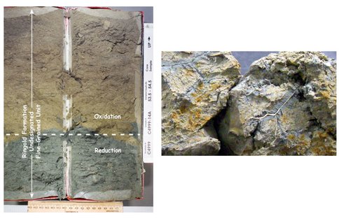Fe-Phyllosilicate Rich Subsurface Sediments.