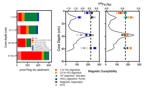 Fe Geochemistry and Isotope Composition of Bay of Vidy Core LPD3.