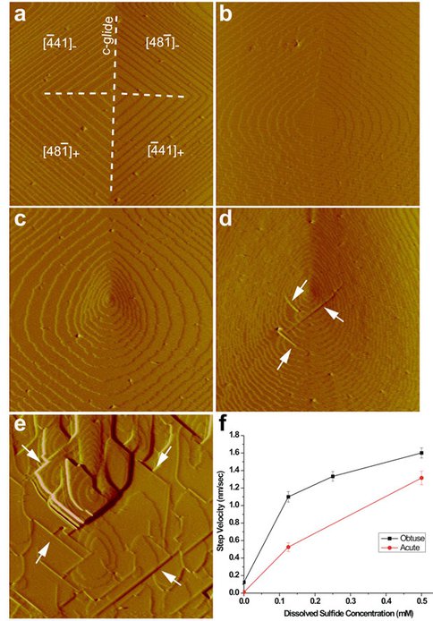 <span class="caps">AFM</span> Images of Ca-Mg Carbonate Nucleation and Growth