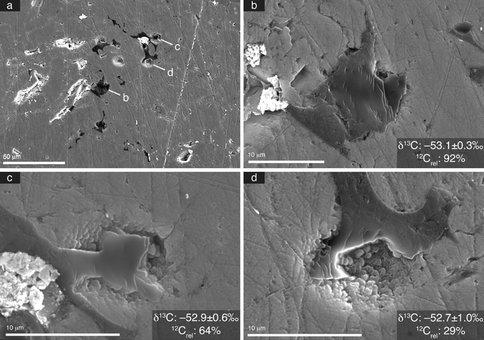 Establishing Biogenicity and Environmental Setting of Precambrian Kerogen and Microfossils