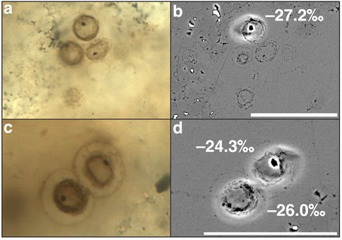 Establishing Biogenicity and Environmental Setting of Precambrian Kerogen and Microfossils