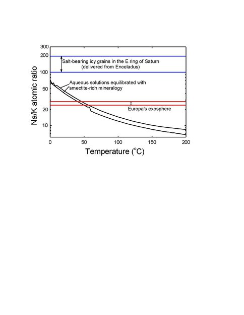 Modeled Na/K Ratio in Fluids Formed Through Aqueous Alteration of CI Carbonaceous Chondrite