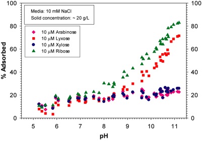 Competitive Adsorption Behavior of Pentose Sugars on Rutile