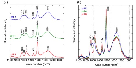 Surface Enhance Raman Spectroscopy (<span class="caps">SERS</span>)