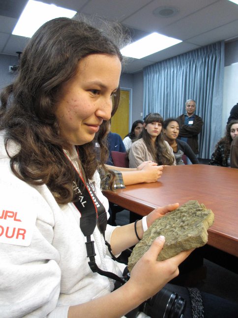 Exploring Stromatolites