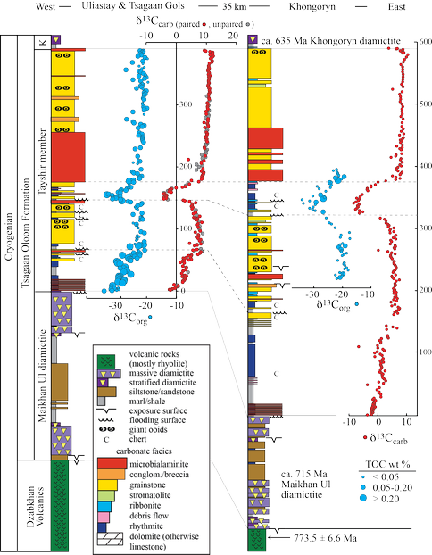 Carbon Isotope Covariance in the Neoproterozoic