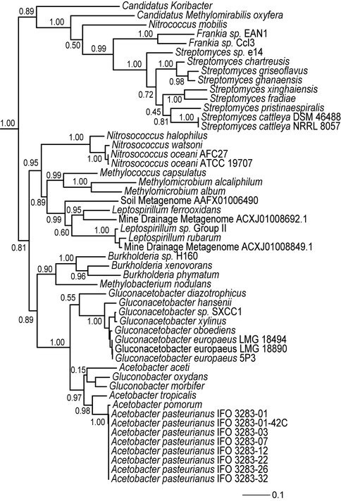 Hpnr Tree