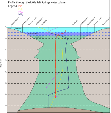 Geochemistry of a Proterozoic-Analog Microbial Ecosystem at Little Salt Spring, FL