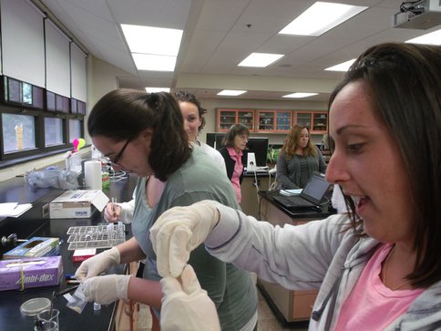 Astrobiology Teacher Workshop at Penn State &#8211; Abington