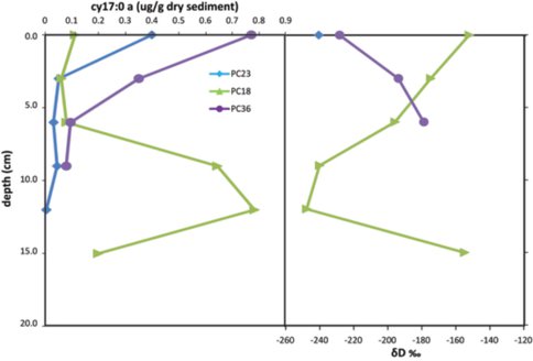 Biosignatures of Sulfate Reducing Bacteria in Methane Seep Sediments