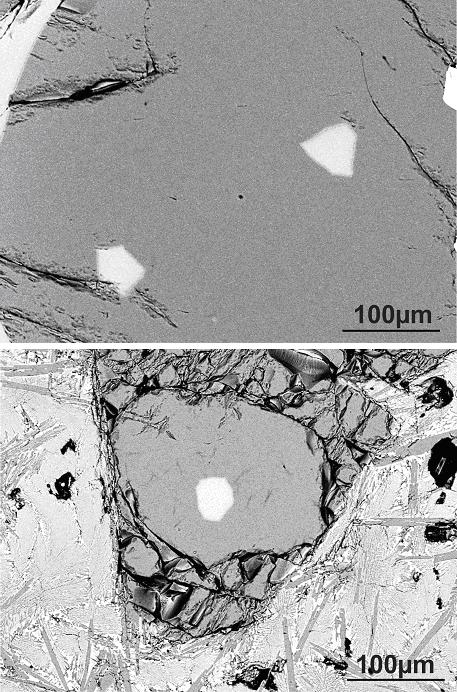 Examples of Olivine-Hosted Melt Inclusions in Midfell Sample IT-4