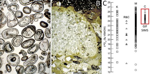 Oxygen Isotope Ratios in Quartz From 1.85 Ga Granular Iron Formation