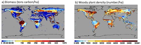 Earth Vegetation Biomass and Woody Plant Density, From Satellite Data and Ent <span class="caps">TBM</span> Allometry