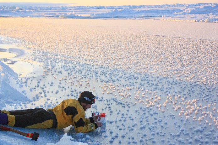 Picking &#8220;Frost Flowers&#8221; in the Arctic