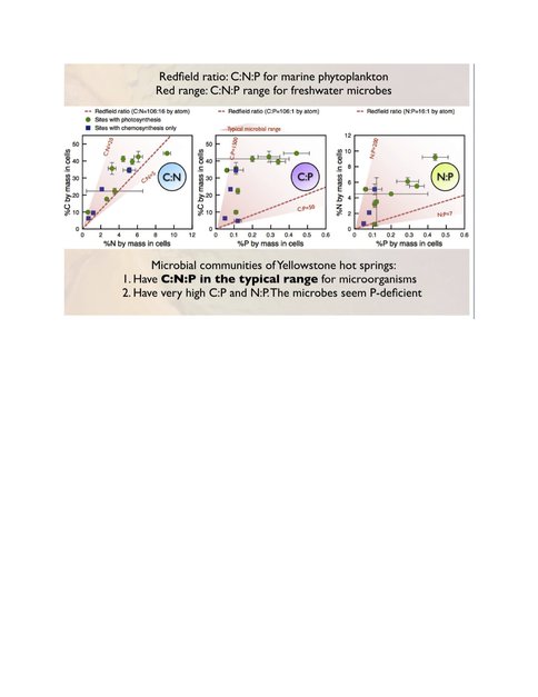 Microbial Communities of Yellowstone Hot Springs