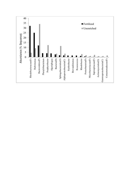 Relative Abundance of Bacterial Taxa at the Genus Level