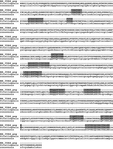 Figure 4. The Thermostable 35 kD Protein Isolated From Resting Eggs Has High Similarity to Vite