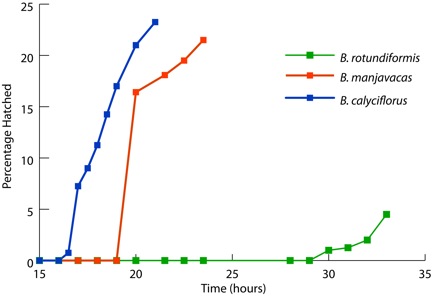 Figure 1. Desiccated Resting Eggs Hatch Within Hours to Become Active Adults Following Hydration