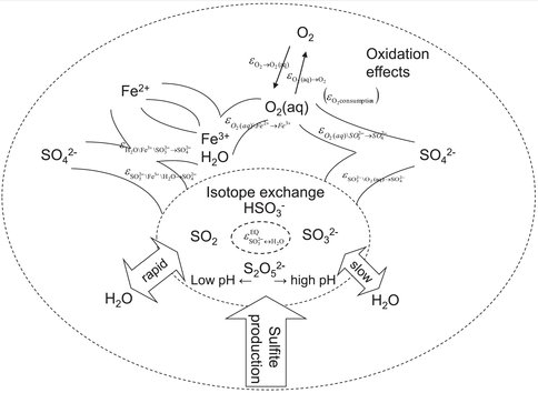 Figure 2. Sulfite Oxidation Processes