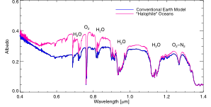 The Detectability of Non-Photosynthetic Pigments on Earth-Like Planets.