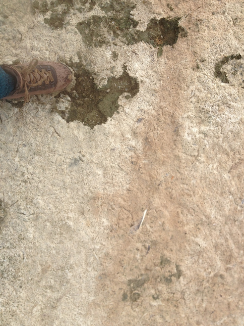 Microbial Layers - Salton Sea