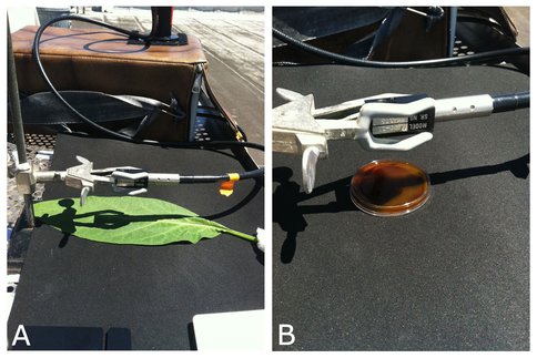 Experimental Set-Up Used to Measure Reflectance Spectra