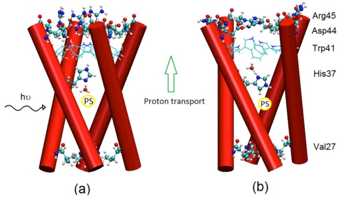 Figure 6.