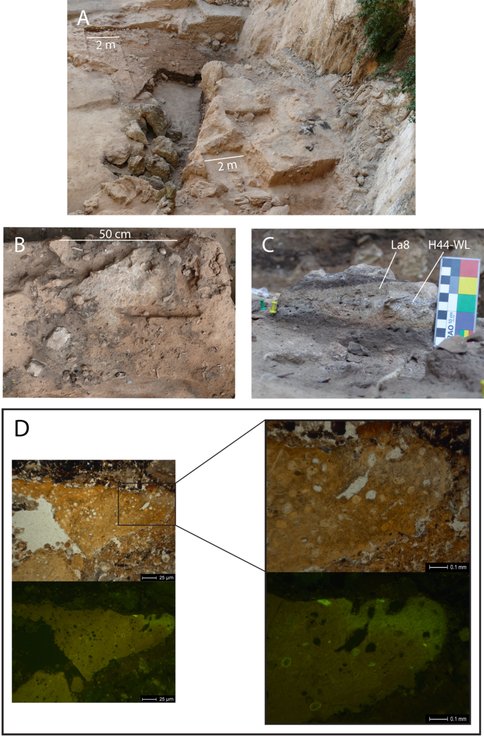 El Salt Excavation and Putative Human Coprolite