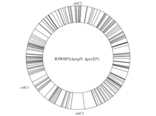 Figure 3.