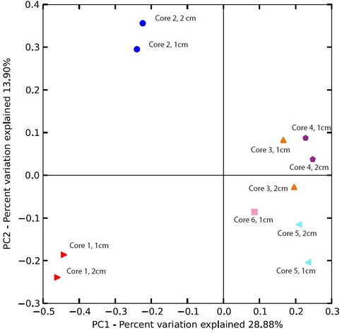 Multivariate Analysis of Microbial Community Composition in Cores From Chocolate Pots Hot Spring
