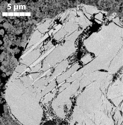 Figure 3. BSE Image of the Ultra Rare ZrSiO4 Polymorph Reidite, in Shocked Zircon at Rock Elm.