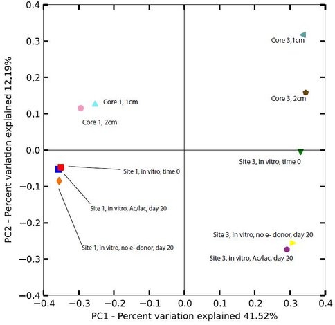 Multivariate Comparison of Microbial Communities in Cores Versus in Vitro Fe(III) Reduction