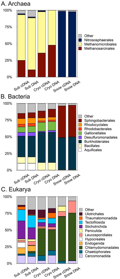 Composition of Archaeal, Bacterial, and Eukaryal Communities Present in Sediments Beneath RG