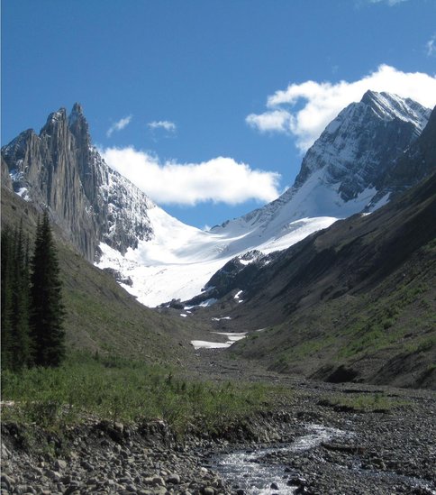 Robertson Glacier
