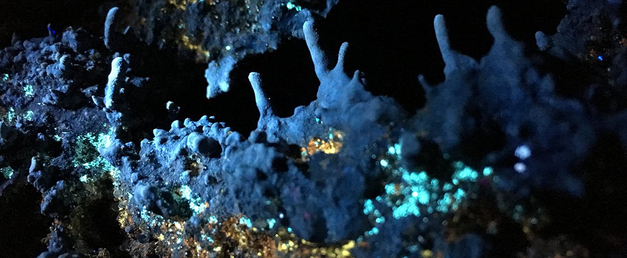 Ultraviolet light highlights different microbes in caves, seen by green, yellow, and orange colonies. They drape below mineralized, finger-like structures that jut upward from a ledge, and that could persist for ages, recording signs of life in the rock.