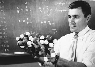 Woese with an RNA model at G.E. in 1961.