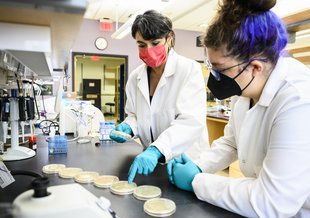 Betül Kaçar (left) assistant professor of bacteriology, and graduate student Kaitlyn McGrath look at and discuss Petri dishes containing cultures of ancient DNA molecules in Kaçar’s research lab at the University of Wisconsin–Madison.
