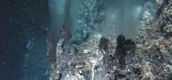 A view of a hydrothermal vent at the Main Endeavour Field on the Juan de Fuca Ridge, snapped from the submersible Alvin.