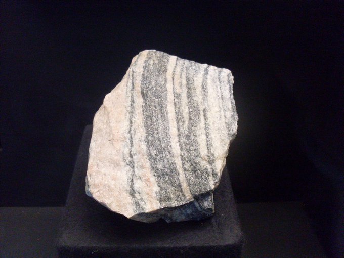 Fragment of the Acasta Gneiss formation in Canada’s Northwestern Territories, which contains the oldest known exposed rock in the world. Could carbon sequestered in such rocks reveal the existence of asteroid impacts that caused evolutionary bottlenecks?